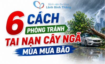 (HCDC) [INFOGRAPHIC] 6 cách phòng tránh tai nạn cây ngã mùa mưa bão